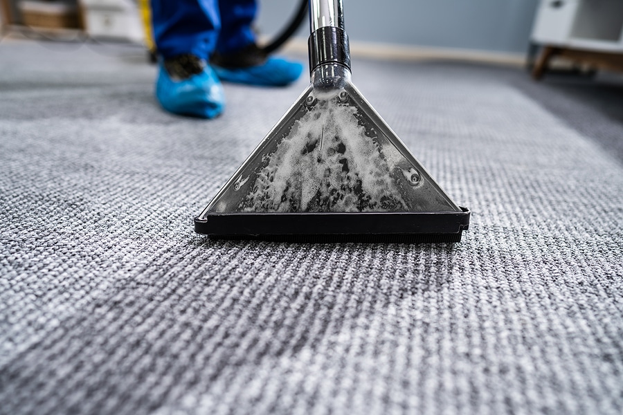 Dirt Be Gone! Take a Deeper Look at Our Carpet Cleaning Process
