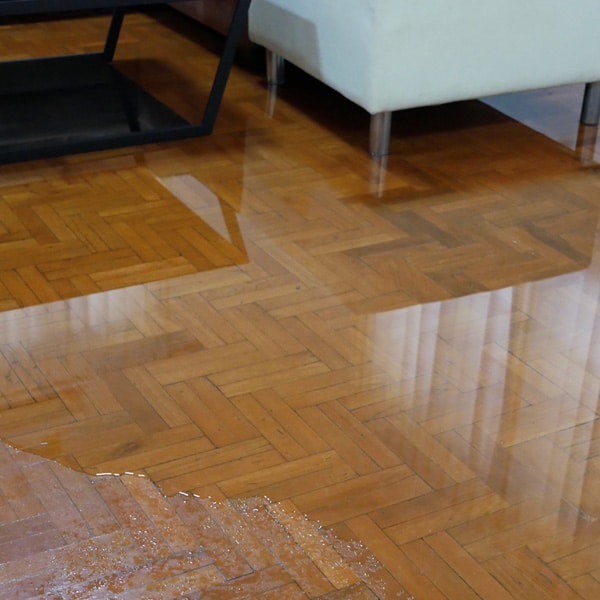 Duke Brothers Oriental Rug Cleaning in Norfolk, VA offers restoration services for water damaged flooring.